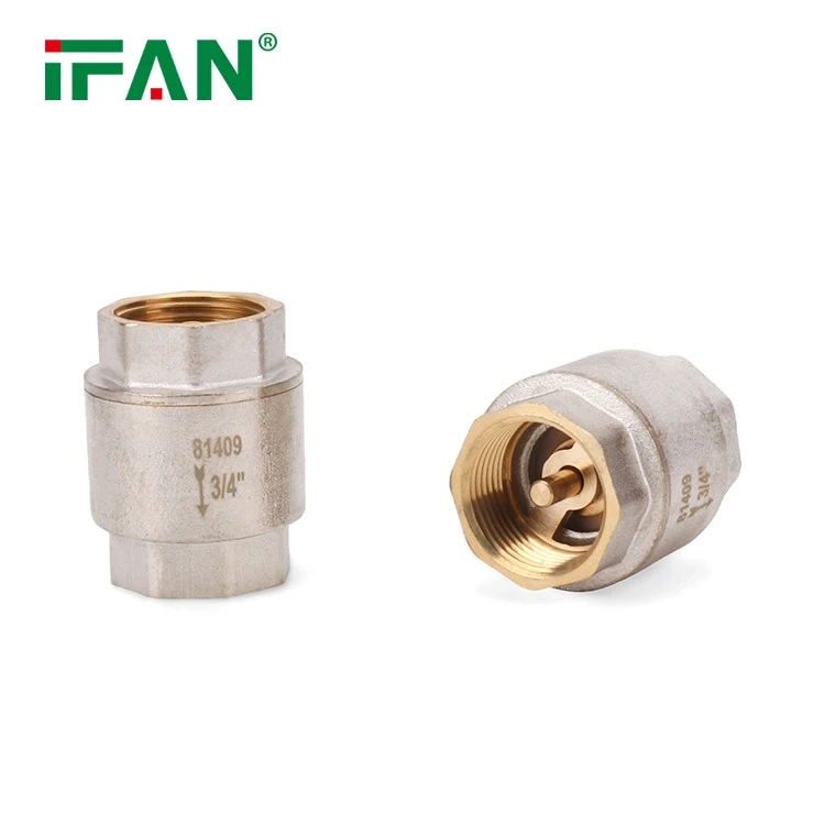 Check Valve (2)