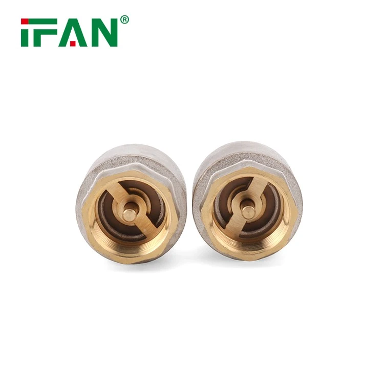 IFAN Check Valve